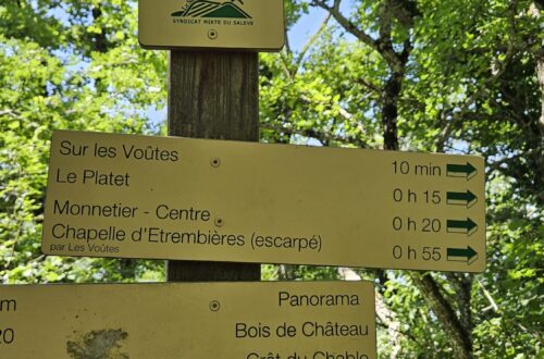 Petit Salève juin 2025