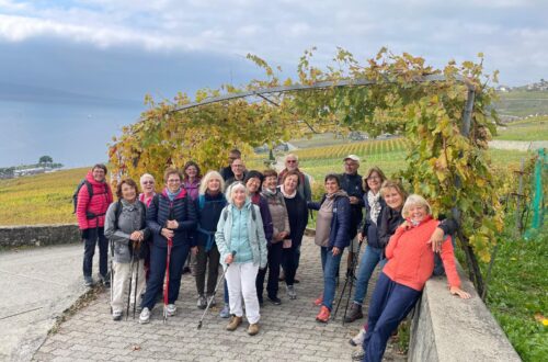 Lavaux oct 2025