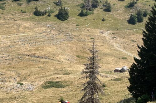 Mont Rond aout 26