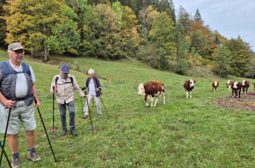 Jambaz - lac vallon oct