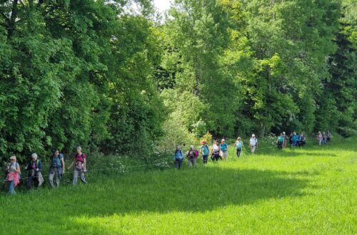 Menthonnex en Borne mai 25